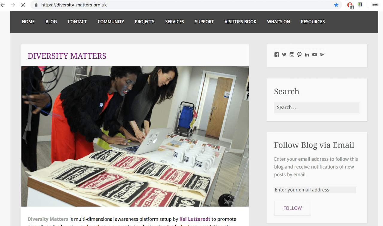 Diversity Matters website screenshot